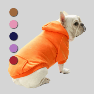 The Essential Urban Hoodie