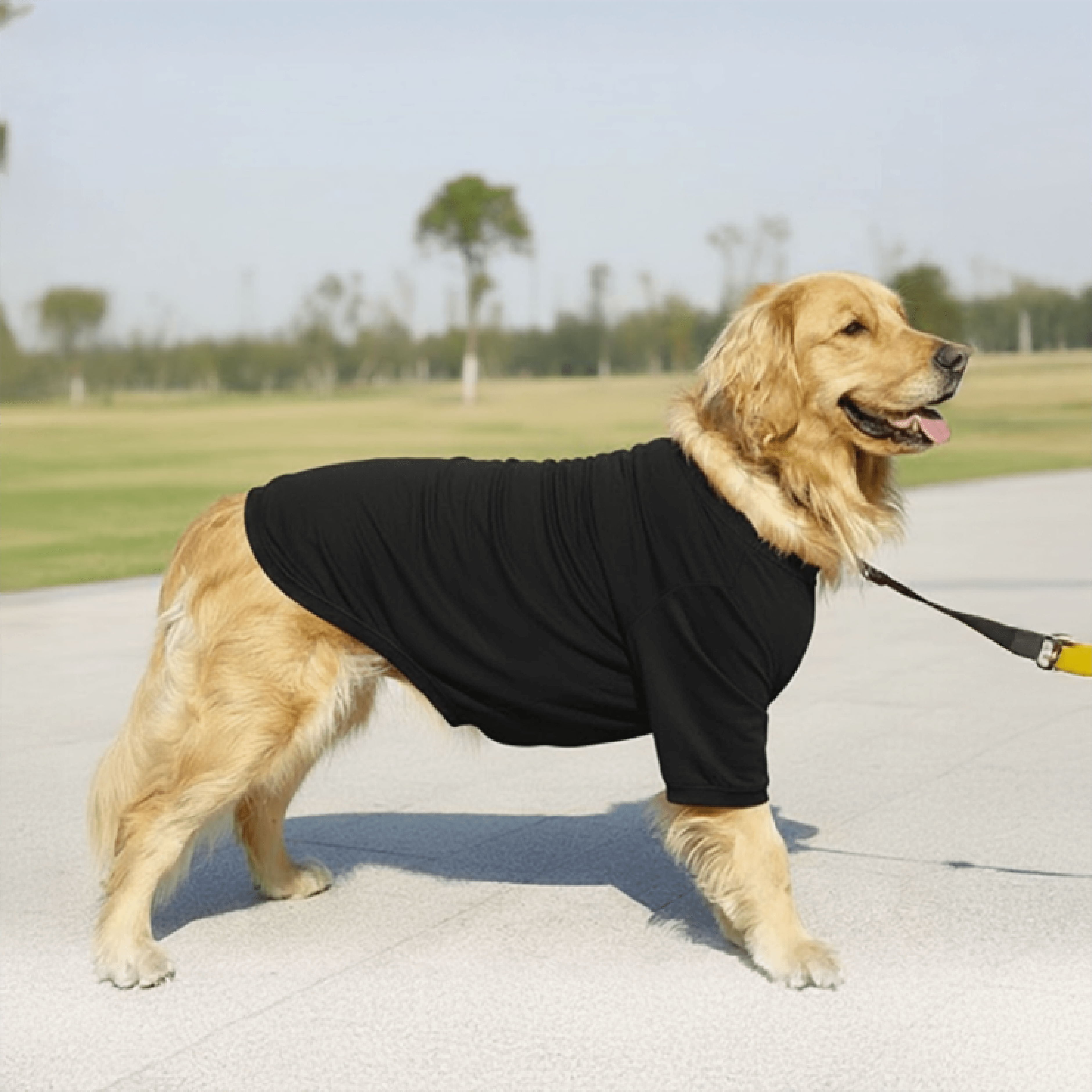 The Essential Comfort Tee - Image 2