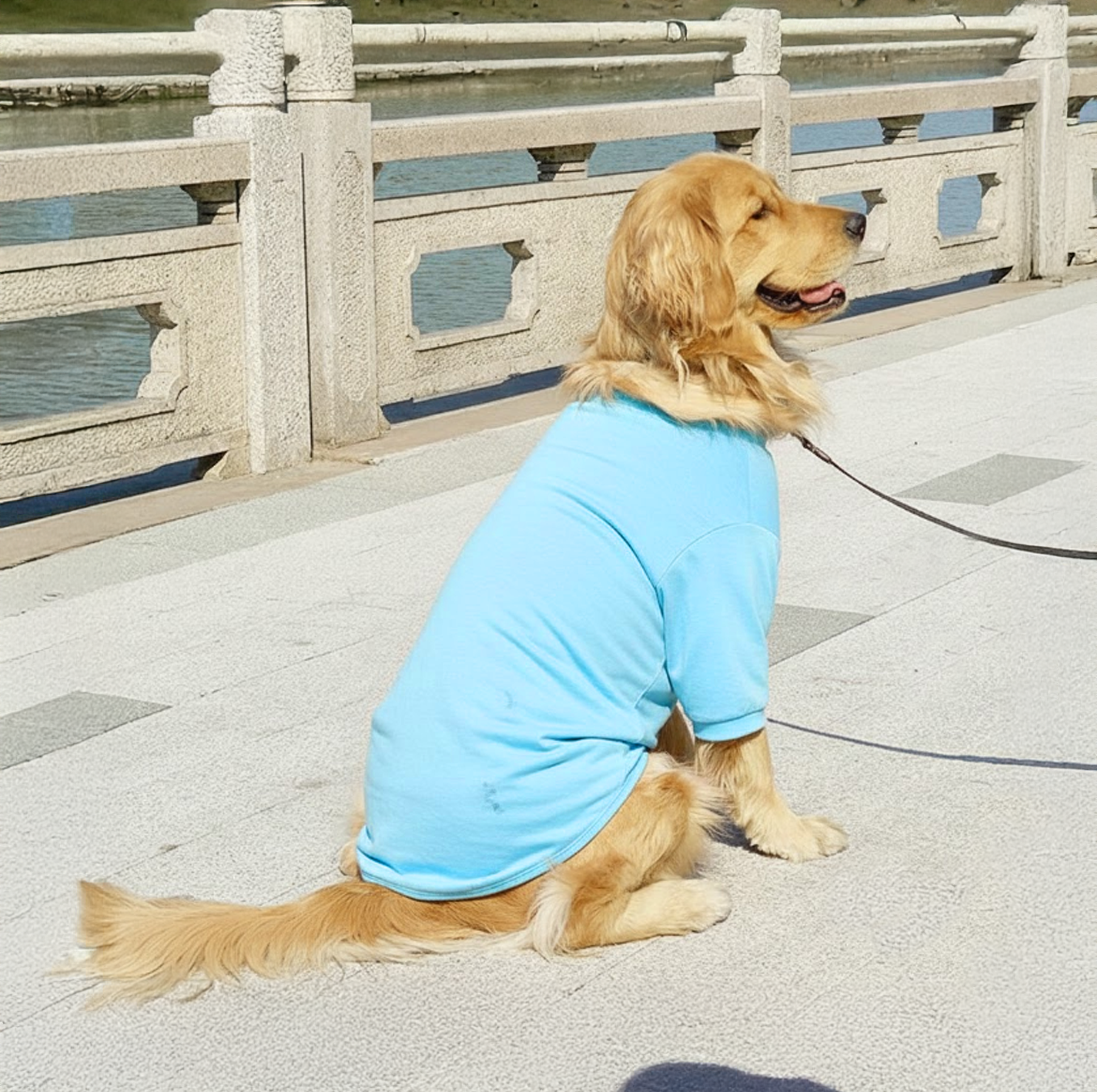 The Essential Comfort Tee - Image 7