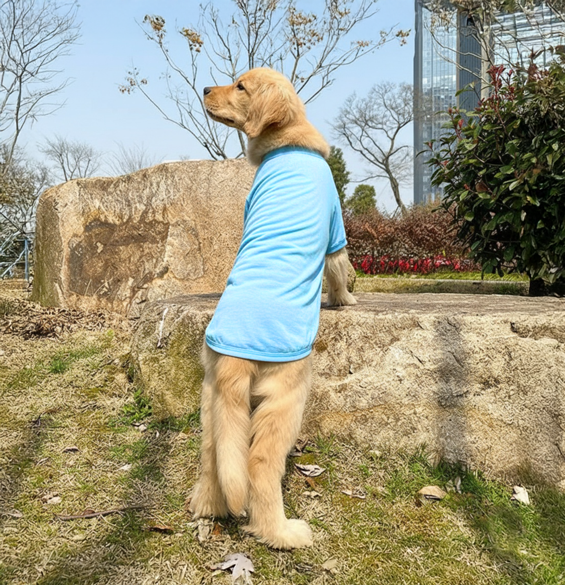 The Essential Comfort Tee - Image 8