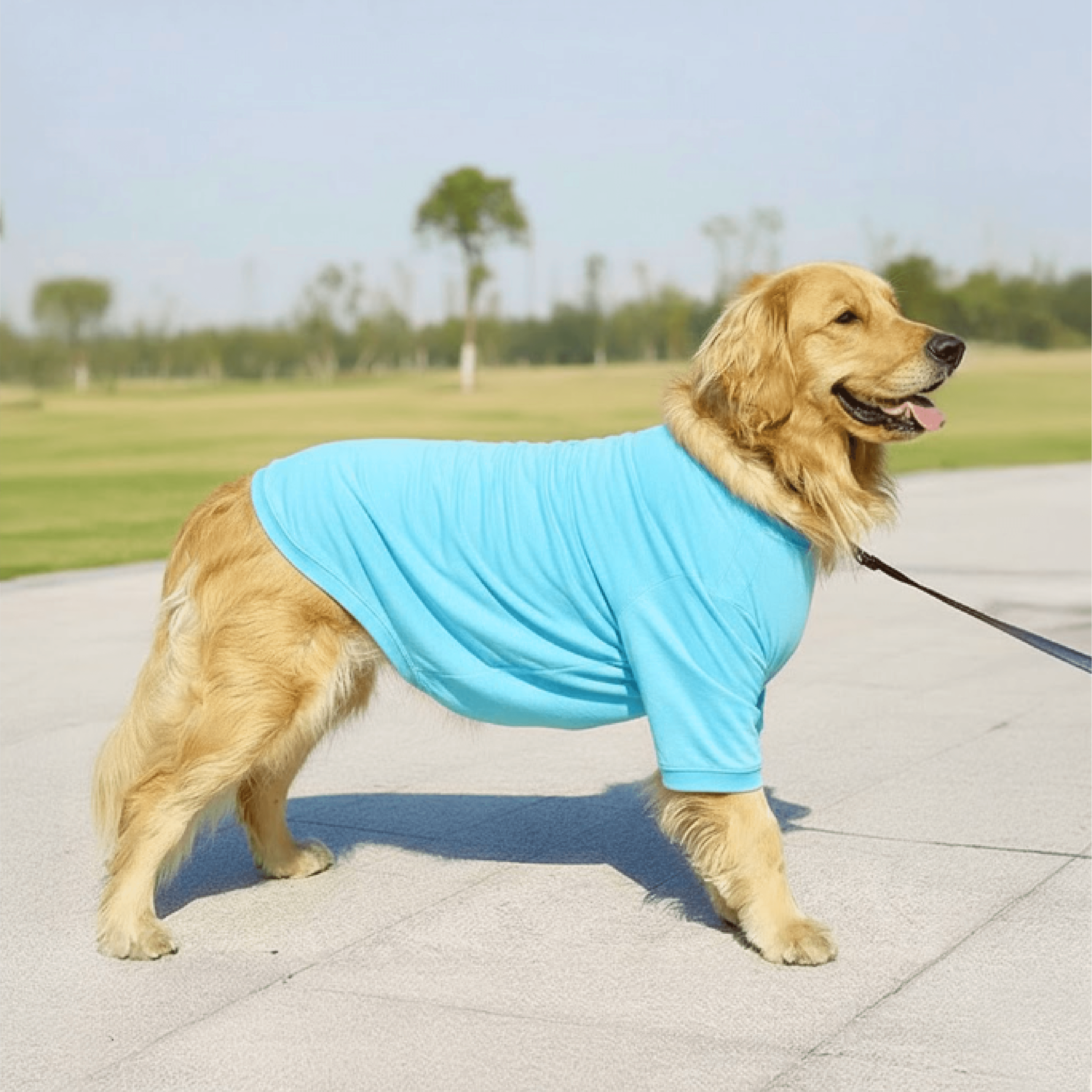 The Essential Comfort Tee - Image 6