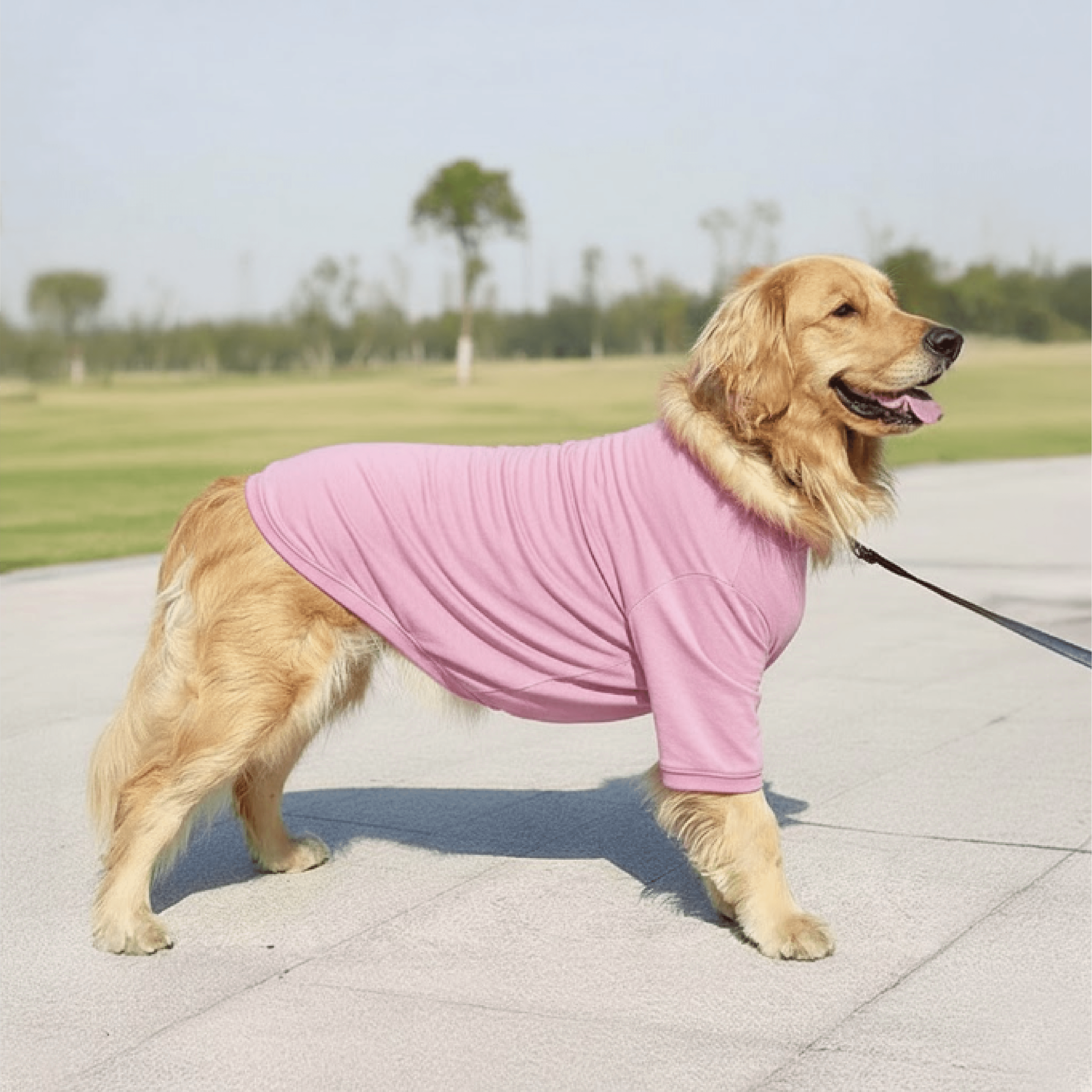 The Essential Comfort Tee - Image 9