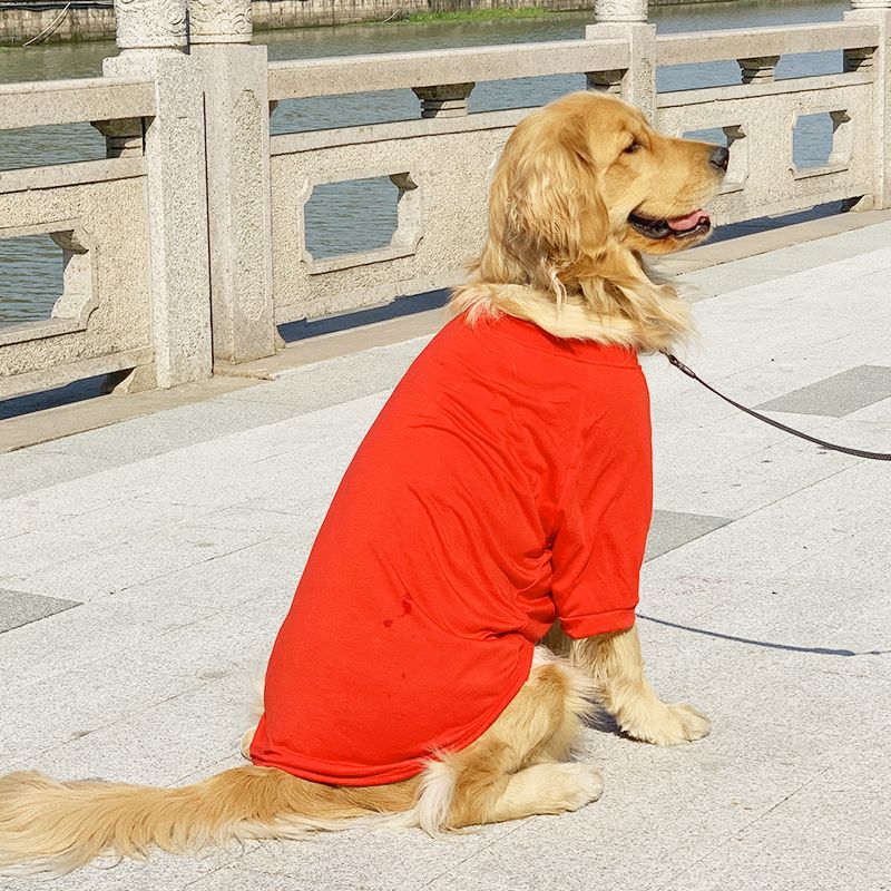 The Essential Comfort Tee - Image 12