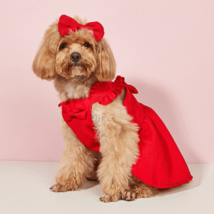 Coquette Corduroy Bow Dress